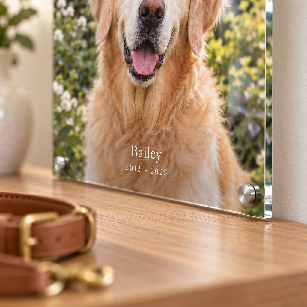 Close-up of white name and dates lettering on a pet memorial acrylic print with a brushed silver standoff